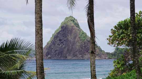 棕榈树，热带，树梢，加勒比海