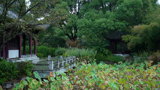 武汉东湖风景区湖北书画院