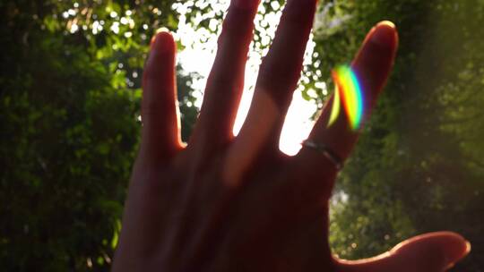 【合集】阳光穿过手指缝，逆光唯美视频4K视频素材模板下载