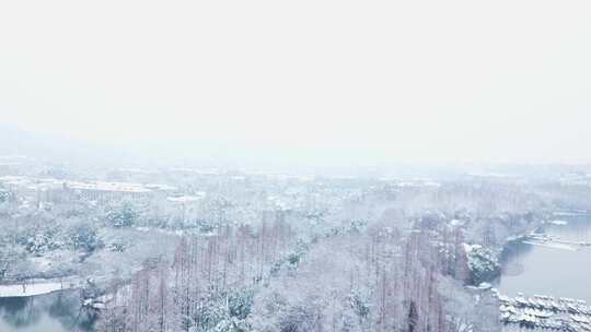 杭州西湖雪景杨公堤雪景浙江雪景游船码头