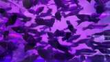 水族馆的鱼高清在线视频素材下载