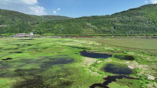 云南保山市腾冲北海湿地自然风光航拍