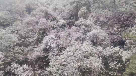 安徽黄山风景区索道缆车雪山风景视频素材