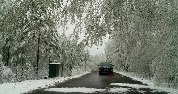 航拍森林冰雪