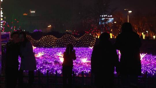 春节期间一群人看灯会拍照游玩