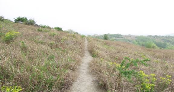 荒山野岭