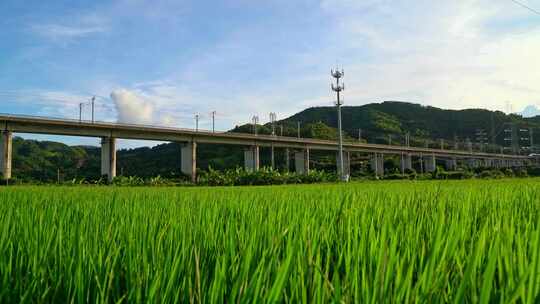 田野上高架桥高铁驶过风景