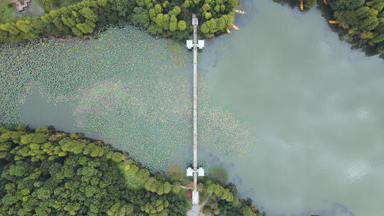 航拍武汉东湖落雁景区铁索桥湖景自然风光