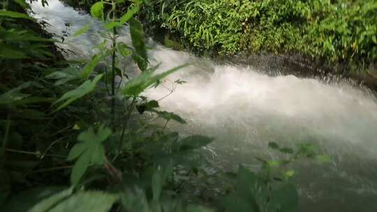 成都湿地青城山泉水高清实拍视频