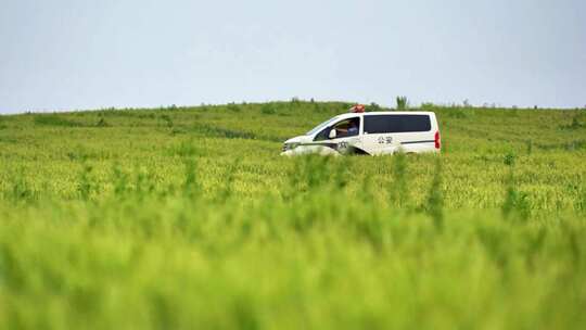 威海初村莱山村夏季麦田公安民警警车巡逻