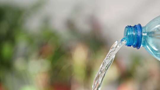 塑料瓶、水、灌溉、植物