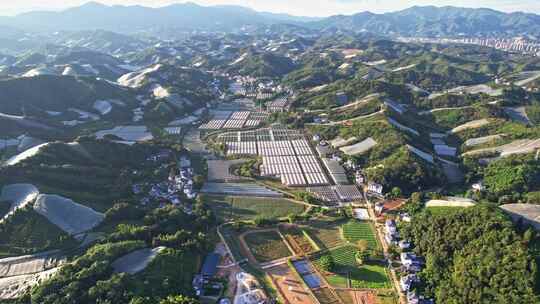 江西赣州赣南寻乌县脐橙种植基地航拍