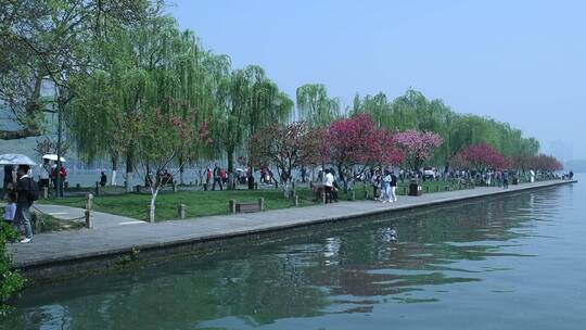 杭州西湖风景区风景