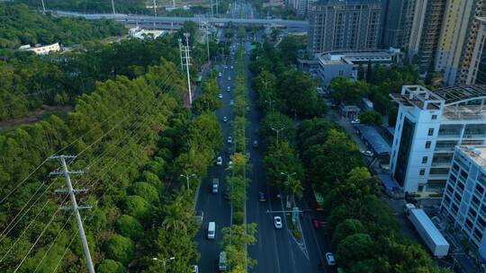 航拍城市公路 林荫大道 汽车交通路况车流