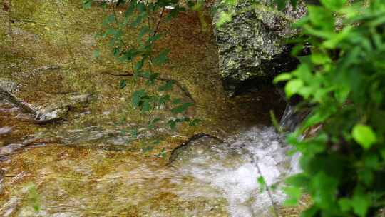 森林流水大自然小溪水瀑布山涧水源泉水山水