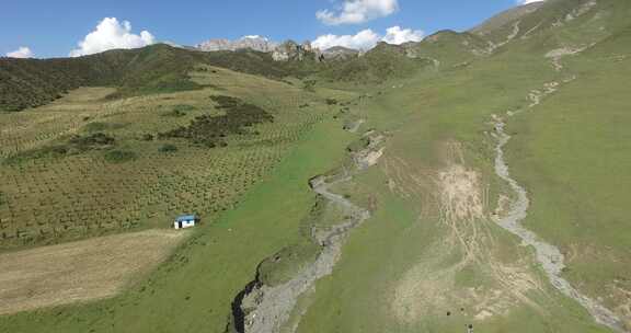 青海互助龙王山山峰树木蓝天白云航拍视频