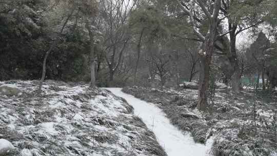 河南南阳人民公园冬季雪景
