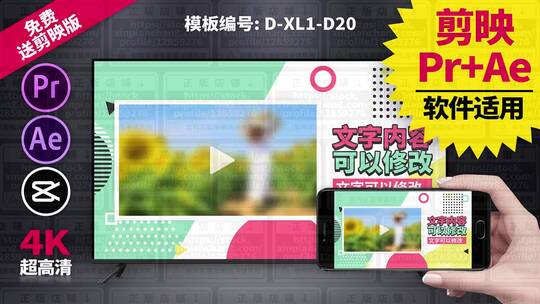 视频包装模板Pr+Ae+抖音剪映 D-XL1-D20