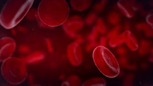 红色血细胞流动背景