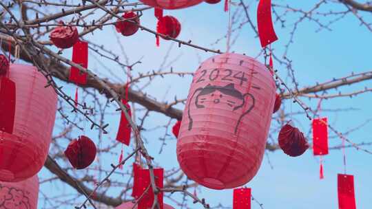 杭州西湖钱王祠新年祈福红灯笼