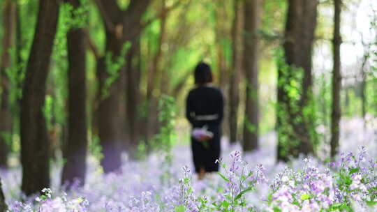 【合集】森林花丛中女孩远去背影