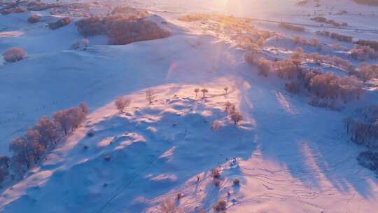 冬季乌兰布统绝美雾凇雪林雪景