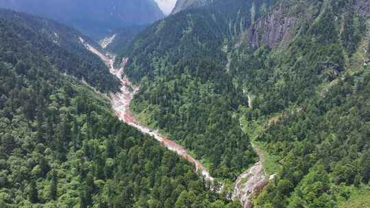 航拍四川甘孜贡嘎山区南门关沟森林河谷风光