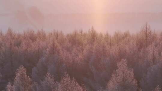 中国最北端的白色森林雪景日出