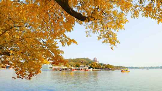 秋季颐和园昆明湖与佛香阁