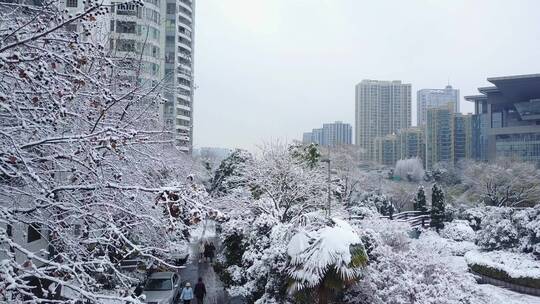 西湖文化广场 雪景 航拍 杭州 运河 4