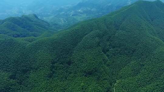 自然森林 绿色 绿水青山 森林公园 清新空气