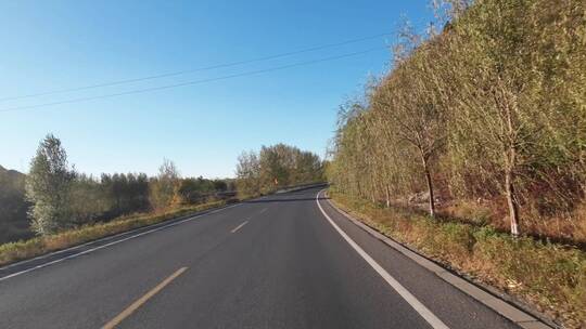 秋天城市道路开车第一视角  记录仪视角