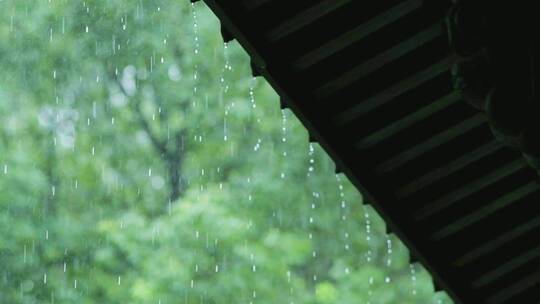 江南雨季中式园林建筑绿植雨滴空镜