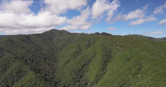 5K-晴朗的哀牢山原始森林，哀牢山山脉