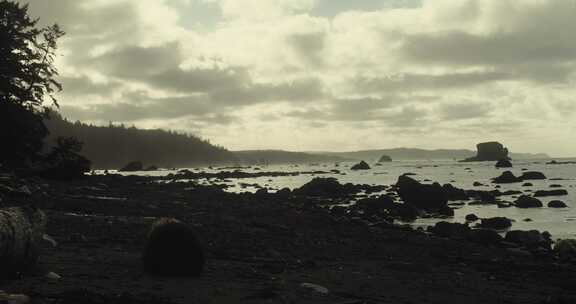 岩石，海滩，海，俄勒冈州