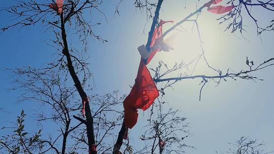 树枝上的红布祈福祝愿