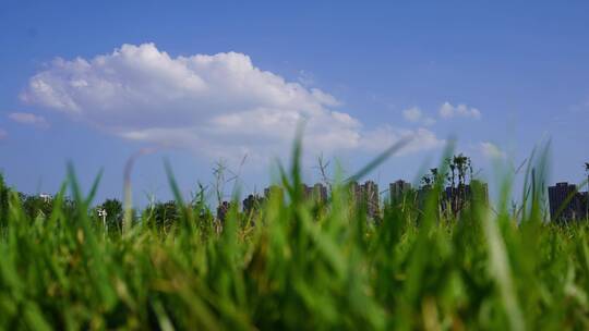 蓝天白云与绿草如茵
