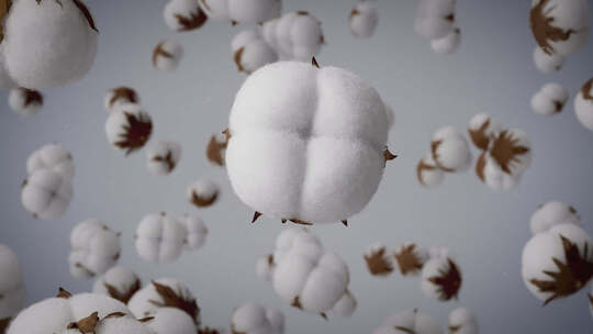 棉花纯棉布料编织-白色背景版视频素材模板下载