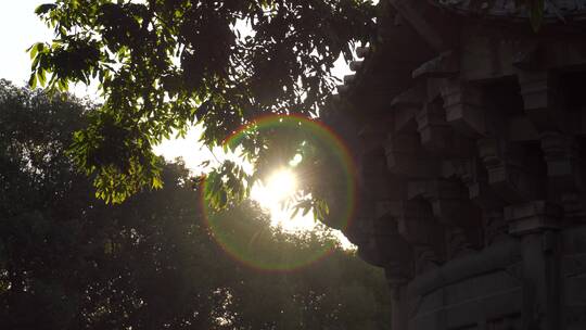 阳光树林石塔太阳彩虹圈阳光穿过树叶