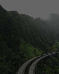 夏威夷山谷的高架公路