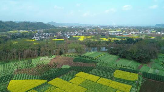 春天乡村航拍风景油菜花田和村庄