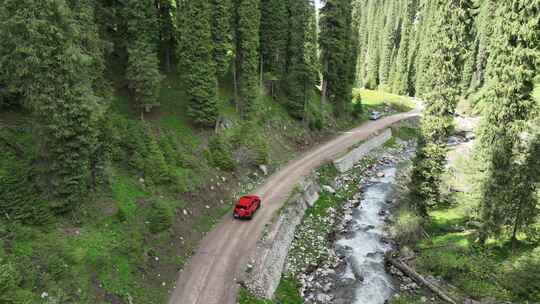 越野车穿梭在新疆伊犁恰西森林公园夏塔环线