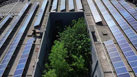 屋顶上的光伏发电站和院子里的树木