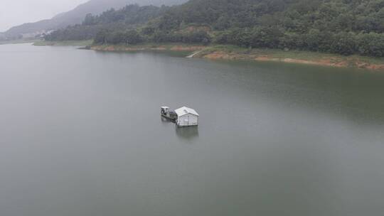 乡村小溪溪流河流牛吃草自然生态环境溪边视频素材模板下载