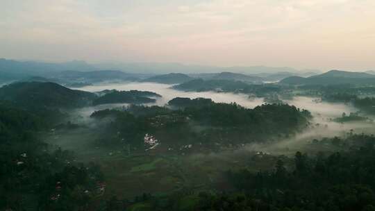 斯里兰卡，旅游，锡兰，雨林