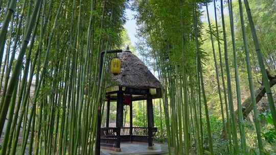 四川眉山三苏祠苏轼苏东坡故居冬季白昼实时