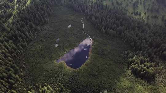 穿过松树通往森林空地空中湖泊的通道