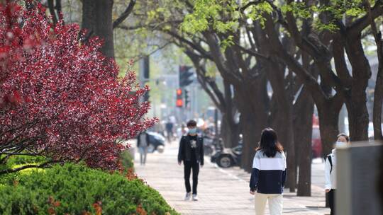 4k城市交通车辆人流行人红绿灯