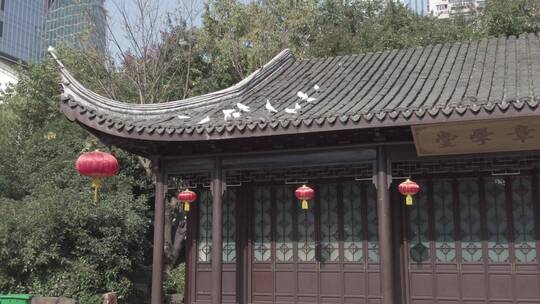 无锡崇安寺4K实拍原素材