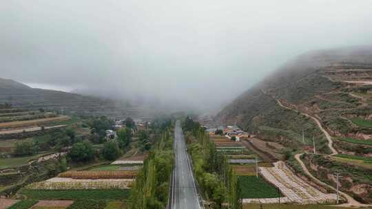 西北农村道路